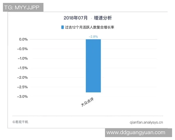 杭州羽毛球队在奥运会上的团队协作表现分析与点评