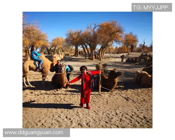 深度对话：杨丽如何在篮球场上书写自己的传奇人生与梦想追逐