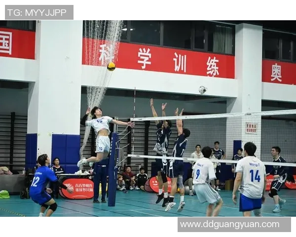 广州排球队的节奏解析与深度剖析探索排球运动的魅力与技巧 广州排球队的节奏解析与深度剖析探索排球运动的魅力与技巧