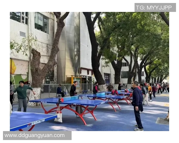 乒乓球专题：深入探讨广州乒乓球队的团队协作与默契配合之道