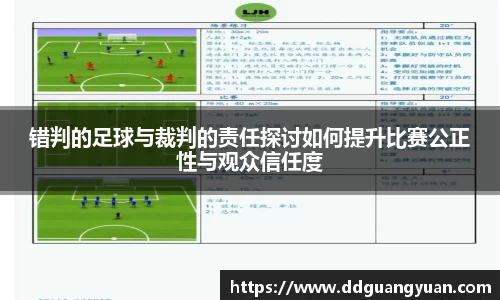 错判的足球与裁判的责任探讨如何提升比赛公正性与观众信任度