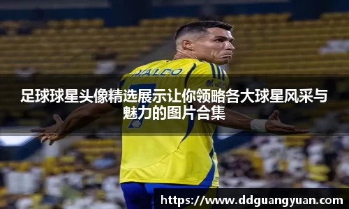 今年会官方网站